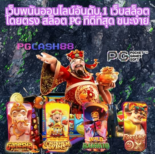 แพนด้า555
